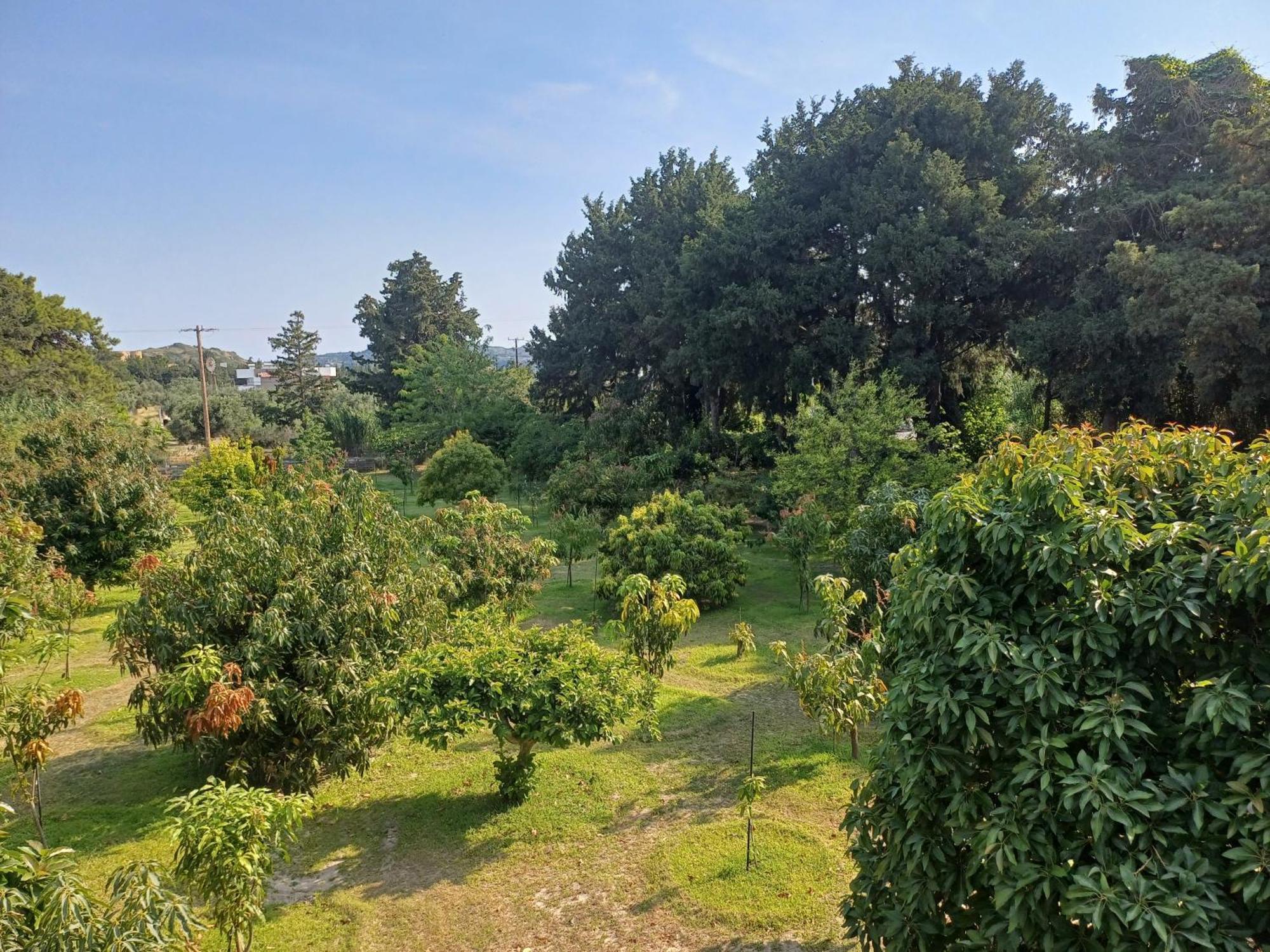 Διαμέρισμα Tropical Garden Prime Φαληράκι