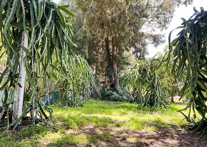 Tropical Garden Prime Accommodation