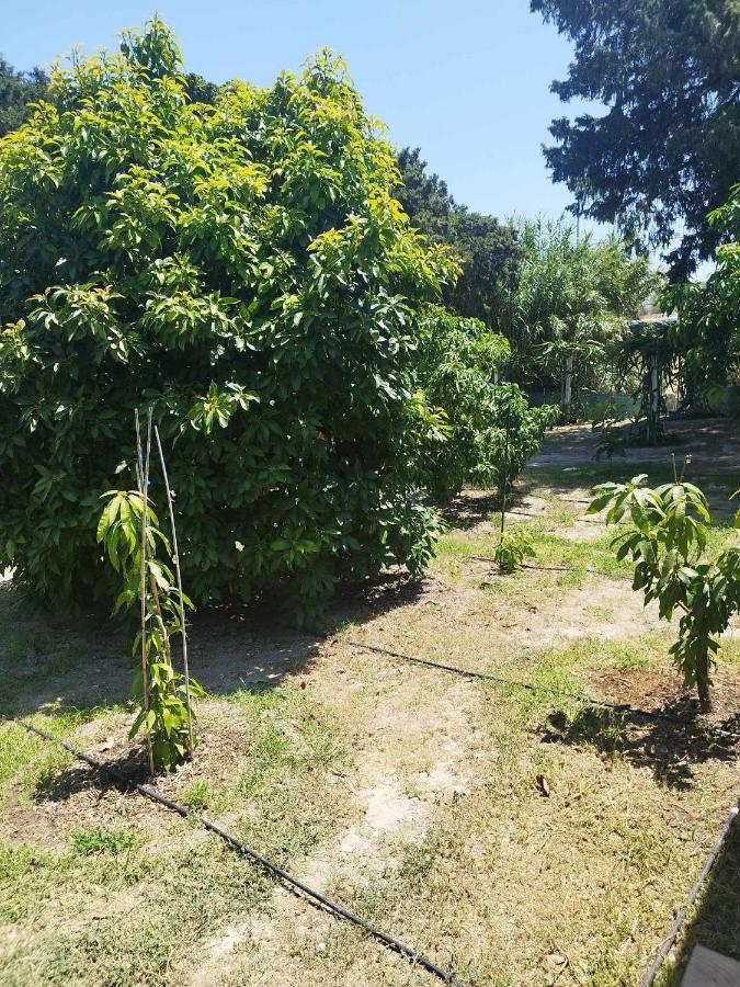 Tropical Garden Prime Faliraki