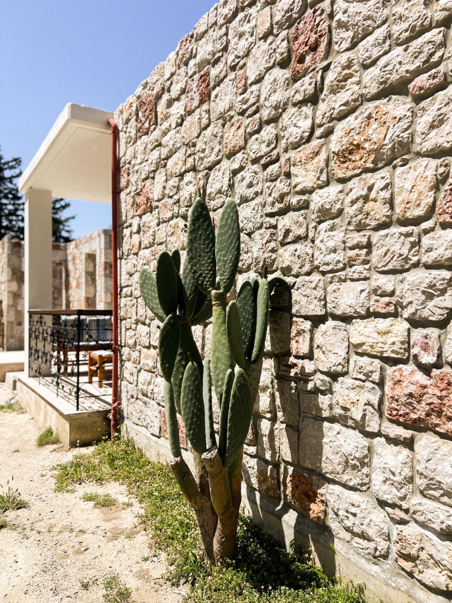 Tropical Garden Prime Faliraki